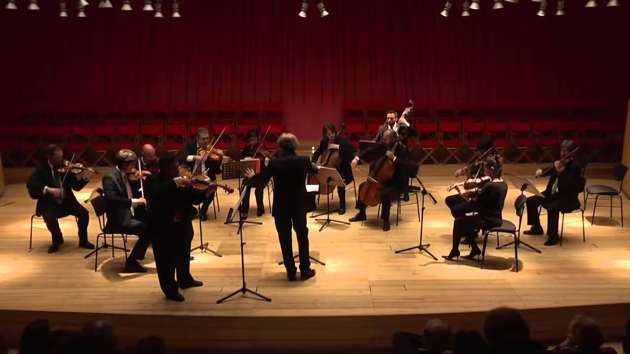 Il solista e lorchestra 1